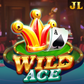 Wild Ace bigwin casino